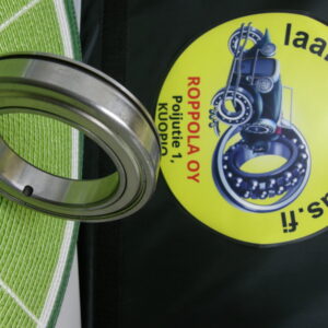 62X95X18, LAAKERI, CAT-6012 X2ZZNX/62WC3/2AS, EU183086